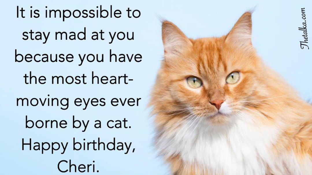 Happy Birthday Wishes For Cat