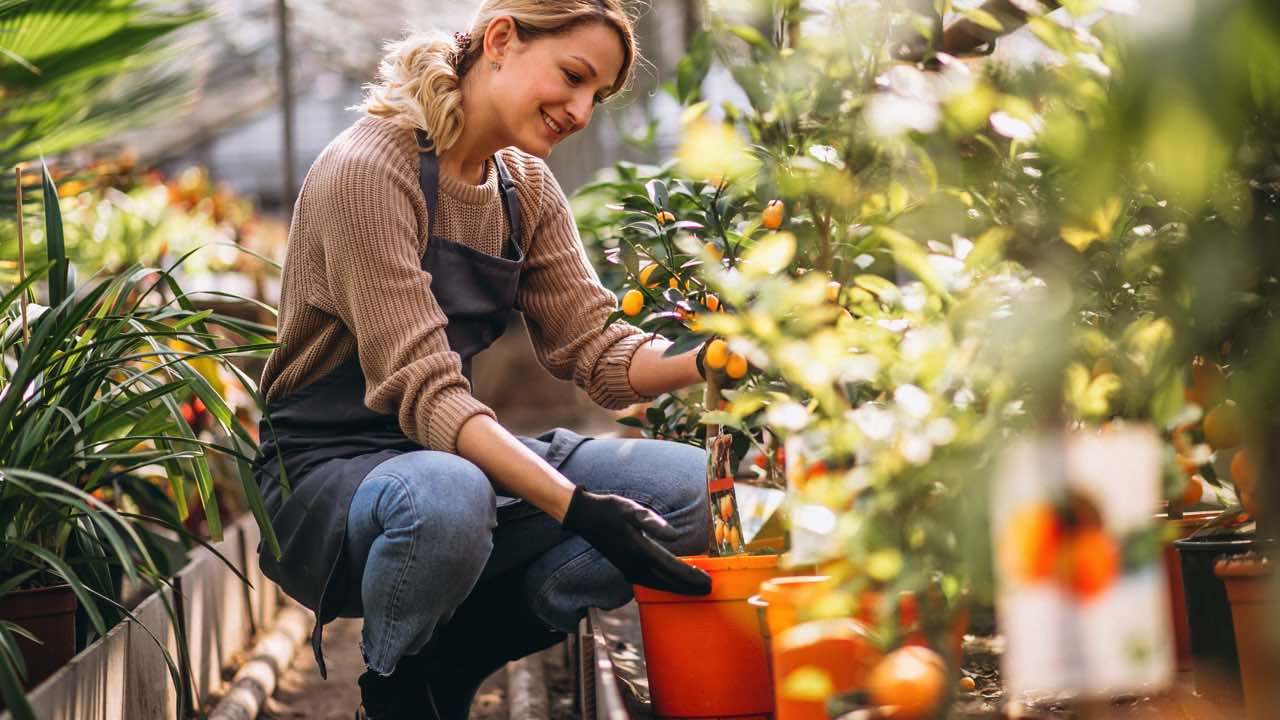 Hobbies For Women/Gardening